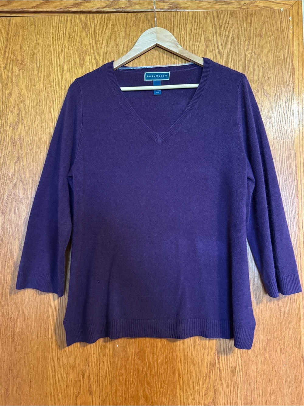 Karen Scott V-Neck Sweater in Plum